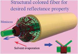 Graphical abstract: Structural colored fiber fabricated by a facile colloid self-assembly method in micro-space