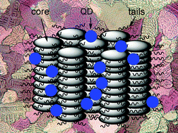 Graphical abstract: CdSe quantum dots in a columnar matrix