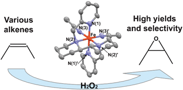 Graphical abstract: A new efficient iron catalyst for olefin epoxidation with hydrogen peroxide