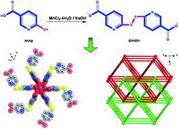 Graphical abstract: A disulfide ligand with axial chirality generated in situ for the construction of an unusual hxg topological coordination polymer