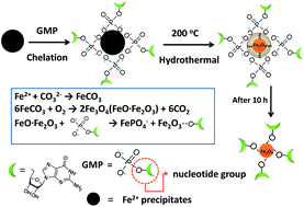 Graphical abstract: Synthesis of ultrasmall nucleotide-functionalized superparamagnetic γ-Fe2O3 nanoparticles
