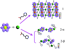 Graphical abstract: Assembling Anderson-type polyoxometalates with manganese(ii) in the presence of pyridylacrylic acid ligands: a 2D layer and two polymorphs