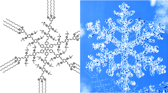 Graphical abstract: A multivalent hexapod having 24 stereogenic centers: chirality and conformational dynamics in homochiral and heterochiral systems