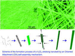 Graphical abstract: Synthesis of vanadium pentoxide (V2O5) ultralong nanobelts via an oriented attachment growth mechanism