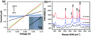 Graphical abstract: AgI modified silicon nanowires: synthesis, characterization and properties of ionic conductivity and surface-enhanced Raman scattering