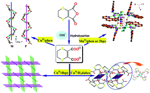 Graphical abstract: In situ syntheses, crystal structures and magnetic properties of CuII and MnII coordination assemblies based on a novel heteroalicyclic dicarboxylate tecton and N-donor co-ligands