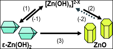 Graphical abstract: The mechanism for hydrothermal growth of zinc oxide