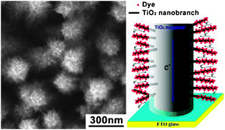 Graphical abstract: Rutile TiO2 nano-branched arrays on FTO for dye-sensitized solar cells