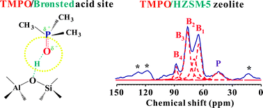 Graphical abstract: Acid properties of solid acid catalysts characterized by solid-state 31P NMR of adsorbed phosphorous probe molecules