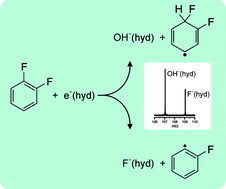 Graphical abstract: Competition between Birch reduction and fluorine abstraction in reactions of hydrated electrons (H2O)n− with the isomers of di- and trifluorobenzene