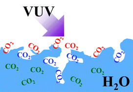 Graphical abstract: Surface abundance change in vacuum ultraviolet photodissociation of CO2 and H2O mixture ices