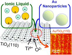 Graphical abstract: Modulating the immobilization process of Au nanoparticles on TiO2(110) by electrostatic interaction between the surface and ionic liquids