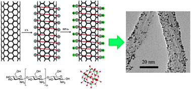 Graphical abstract: PtRu catalysts supported on heteropolyacid and chitosan functionalized carbon nanotubes for methanol oxidation reaction of fuel cells