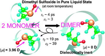 Graphical abstract: Reconsideration of the anomalous dielectric behavior of dimethyl sulfoxide in the pure liquid state