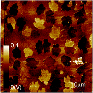 Graphical abstract: Formation of intra-island grain boundaries in pentacene monolayers