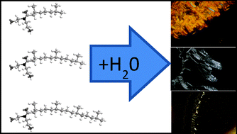 Graphical abstract: Nonionic diethanolamide amphiphiles with isoprenoid-type hydrocarbon chains: thermotropic and lyotropic liquid crystalline phase behaviour