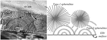 Graphical abstract: Surface and interior views on origins of two types of banded spherulites in poly(nonamethylene terephthalate)