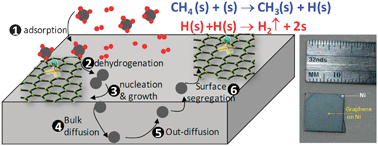 Graphical abstract: Graphene CVD growth on copper and nickel: role of hydrogen in kinetics and structure