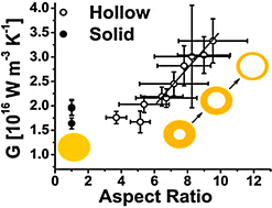 Graphical abstract: Ultrafast electron–phonon coupling in hollow gold nanospheres