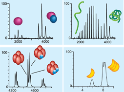 Graphical abstract: Capturing protein structural kinetics by mass spectrometry