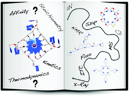 Graphical abstract: Methods for investigating G-quadruplex DNA/ligand interactions