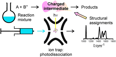 Graphical abstract: Characterization of reaction intermediates by ion spectroscopy