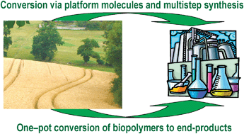 Graphical abstract: Conversion of biomass to selected chemical products