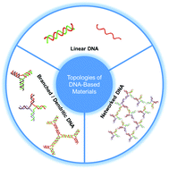 Graphical abstract: Engineering DNA-based functional materials