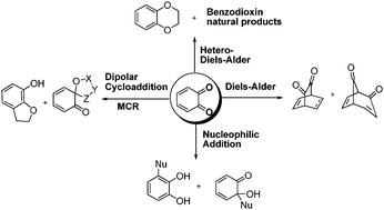 Graphical abstract: 1,2-Benzoquinones in Diels–Alder reactions, dipolar cycloadditions, nucleophilic additions, multicomponent reactions and more