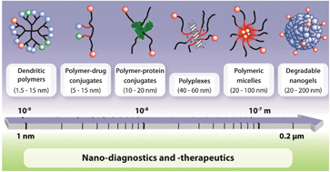 Graphical abstract: Multifunctional dendritic polymers in nanomedicine: opportunities and challenges