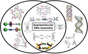 Graphical abstract: Supramolecular DNA assembly
