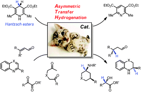 Graphical abstract: Transfer hydrogenation with Hantzsch esters and related organic hydride donors