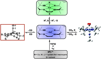 Graphical abstract: Thermodynamics and kinetics of CO2, CO, and H+ binding to the metal centre of CO2reductioncatalysts