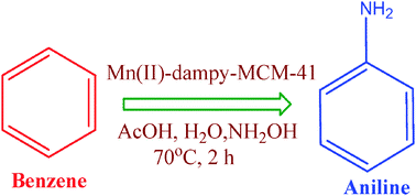 Graphical abstract: A reusable Mn(ii)-dampy-MCM-41 system for single step amination of benzene to aniline using hydroxylamine