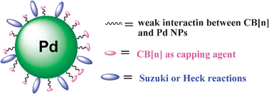 Graphical abstract: Synthesis of palladium nanocatalysts with cucurbit[n]uril as both a protecting agent and a support for Suzuki and Heck reactions