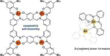 Graphical abstract: Cooperative self-assembly of a macrocyclic Schiff base complex