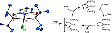 Graphical abstract: Catalysis of Kumada–Tamao–Corriu coupling by a (POCOP)Rh pincer complex