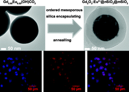 Graphical abstract: A luminescent and mesoporous core-shell structured Gd2O3 : Eu3+@nSiO2@mSiO2 nanocomposite as a drug carrier