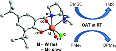 Graphical abstract: Faster oxygen atom transfer catalysis with a tungsten dioxo complex than with its molybdenum analog