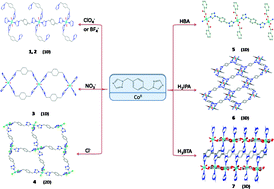 Graphical abstract: Structural evolution and magnetic properties of CoII coordination polymers varied from 1D to 3D constructed by 1,4-bis(1,2,4-triazol-1-ylmethyl)benzene