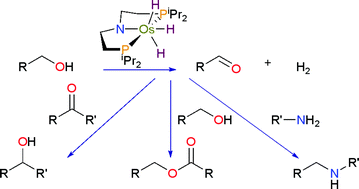 Graphical abstract: PNP pincer osmium polyhydrides for catalytic dehydrogenation of primary alcohols
