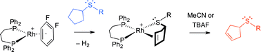 Graphical abstract: Dehydrogenation of cyclic thioethers bound to a [Rh(diphosphine)]+ fragment