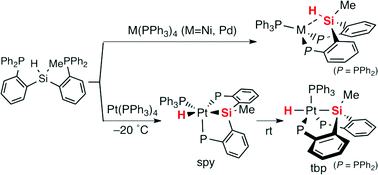 Graphical abstract: Reaction of bis(o-phosphinophenyl)silane with M(PPh3)4 (M = Ni, Pd, Pt): synthesis and structural analysis of η2-(Si–H) metal(0) and pentacoordinate silyl metal(ii) hydride complexes of the Ni triad bearing a PSiP-pincer ligand