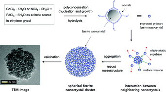 Graphical abstract: Self-assembled mesoporous Co and Ni-ferrite spherical clusters consisting of spinel nanocrystals prepared using a template-free approach