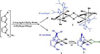 Graphical abstract: Organoplatinum(ii) complexes containing chelating or bridging bis(N-heterocyclic carbene) ligands: formation of a platinum(ii) carbonate complex by aerial CO2 fixation