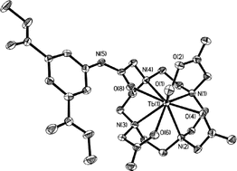 Graphical abstract: Lanthanide complexes of DOTA monoamide derivatives bearing an isophthalate pendent arm