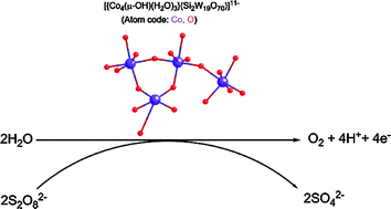 Graphical abstract: Water oxidation catalyzed by a new tetracobalt-substituted polyoxometalate complex: [{Co4(μ-OH)(H2O)3}(Si2W19O70)]11−