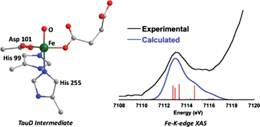 Graphical abstract: Prediction of high-valent iron K-edge absorption spectra by time-dependent Density Functional Theory
