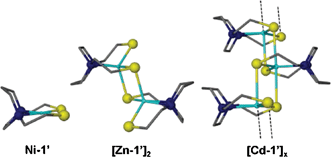 Graphical abstract: Comparisons of zinc with cadmium in N2S2 coordination and as S-bonded adducts to tungsten carbonyls