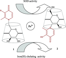 Graphical abstract: Synthesis, physicochemical properties and antioxidant activity of deferiprone-cyclodextrin conjugates and their iron(iii) complexes